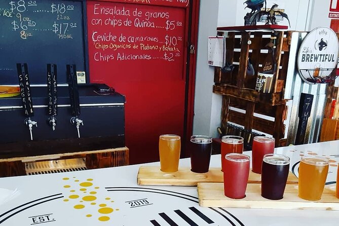 Puerto Rico's First and Only Craft Beer Brewery Tour! - Who will enjoy this brewery tour most