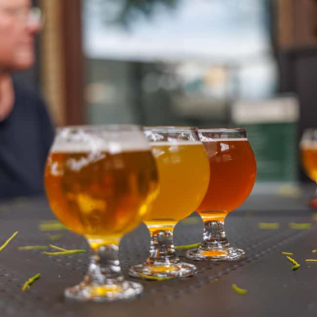Quebec City: Montmorency Falls and Microbrewery eBike Tour - Key details to know before you pedal