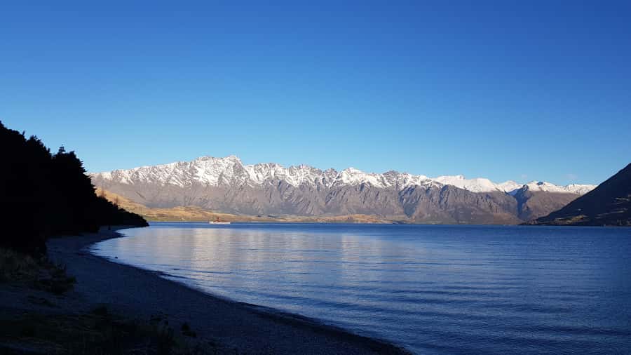 Queenstown: Craft Beer Brewery Tour with Lunch - Who should book this Queenstown beer tour?