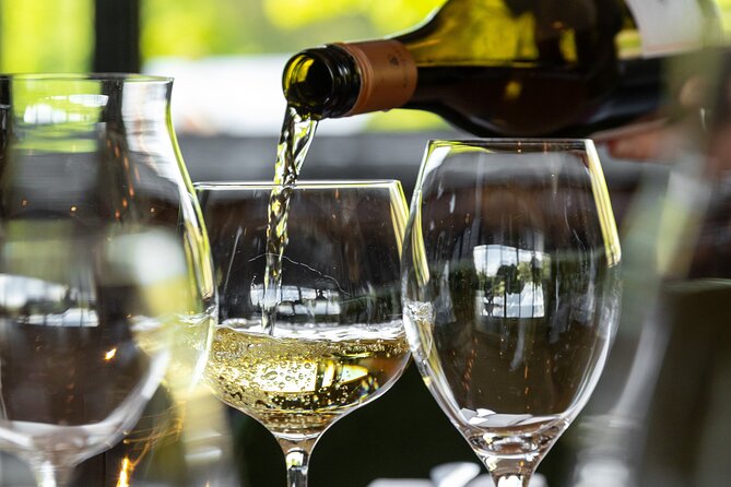Queenstown Gin, Wine & Beer Tour | Adults Only - Amisfield and the final Central Otago wines