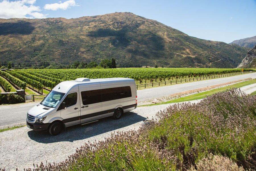 Queenstown: Twilight Wine and Craft Beer Tour - Why this late-day tour works in Queenstown