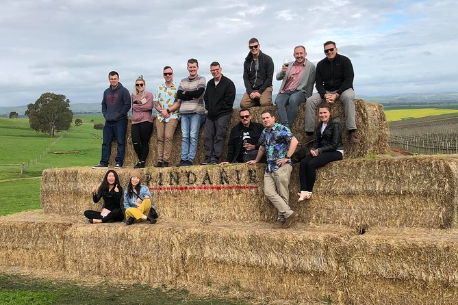 Red White & Brew - Wine, Gin & Beer Tour with Tastings from Adelaide - Key points to know before booking