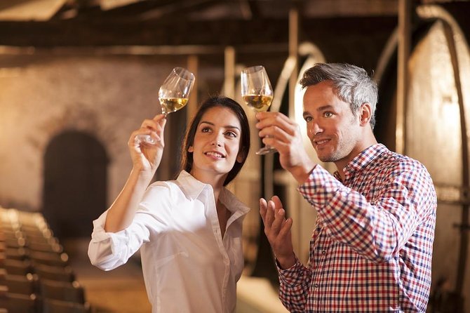 Red White & Brew - Wine, Gin & Beer Tour with Tastings from Adelaide - The guide can make the difference