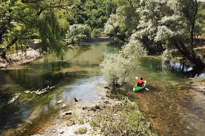 Safari kayak adventure w BBQ & Beer - A slow return through trees and clear water