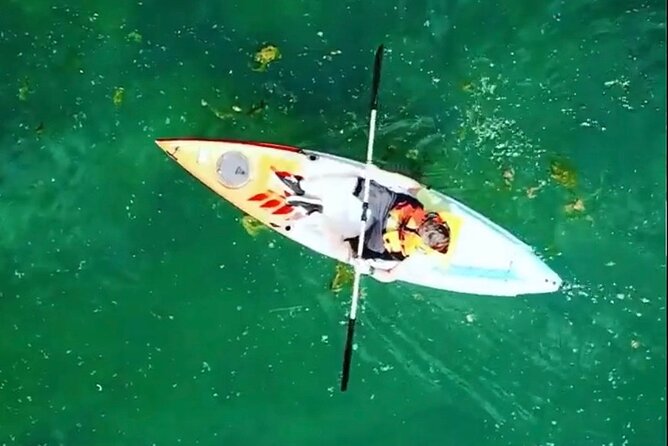 Safari kayak adventure w BBQ & Beer - Lunch on the sandy river beach