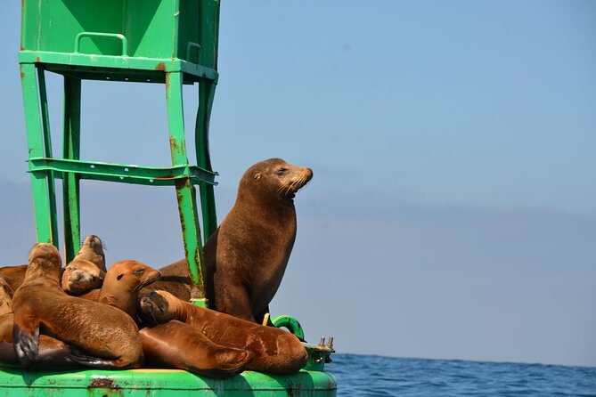 San Diego Sunset or Afternoon Sail on Classic Yacht - Seaport Village and the downtown waterfront