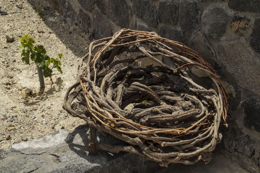 Santorini: Three Wineries and One Brewery Tour with Tastings - Timing, comfort, and who should skip it