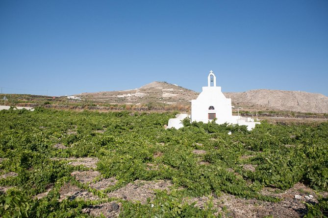 Santorini Wine Tour: Taste 12 best wines & 3 beers with pairings - Anhydrous Winery: modern wine with old methods