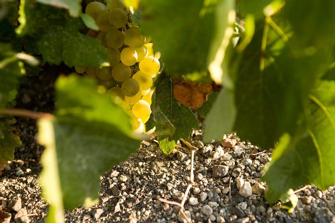 Santorini Wine Tour: Taste 12 best wines & 3 beers with pairings - The guides can make or break the afternoon