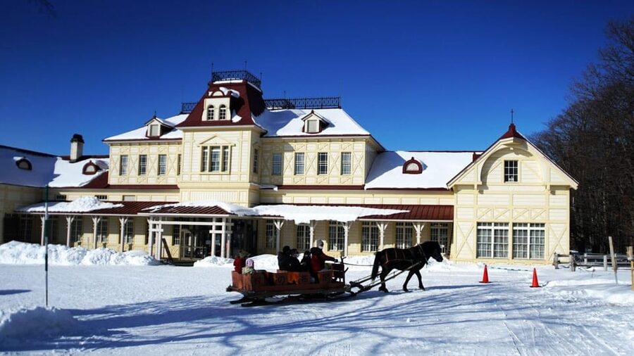 Sapporo: Historical Village of Hokkaido and Beer Museum Tour - What happens at the Star Hall tasting corner