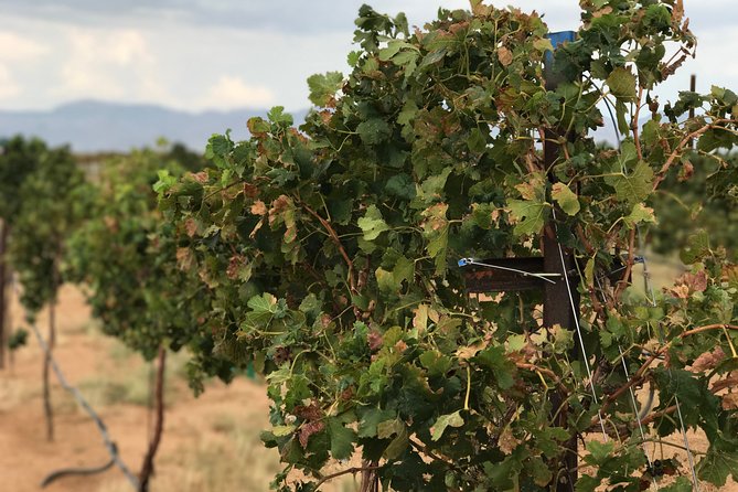 Scenic Desert Wine Distillery Brewery Route 66 Tour - Why this Route 66 day feels different