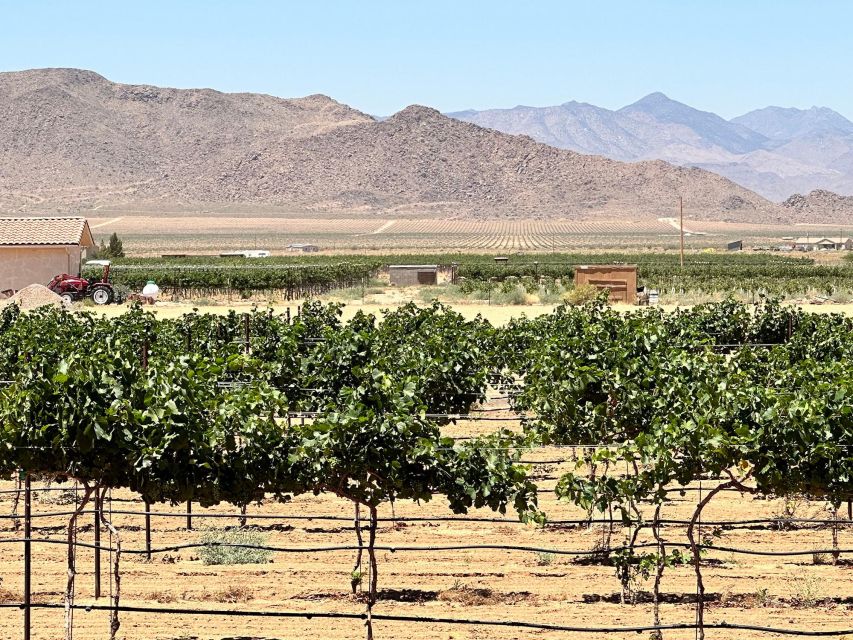 Scenic Desert Wine, Distillery Tastings/Brewery/RT66 & Lunch - Little Old Wine Drinkers Vineyard and its desert setting