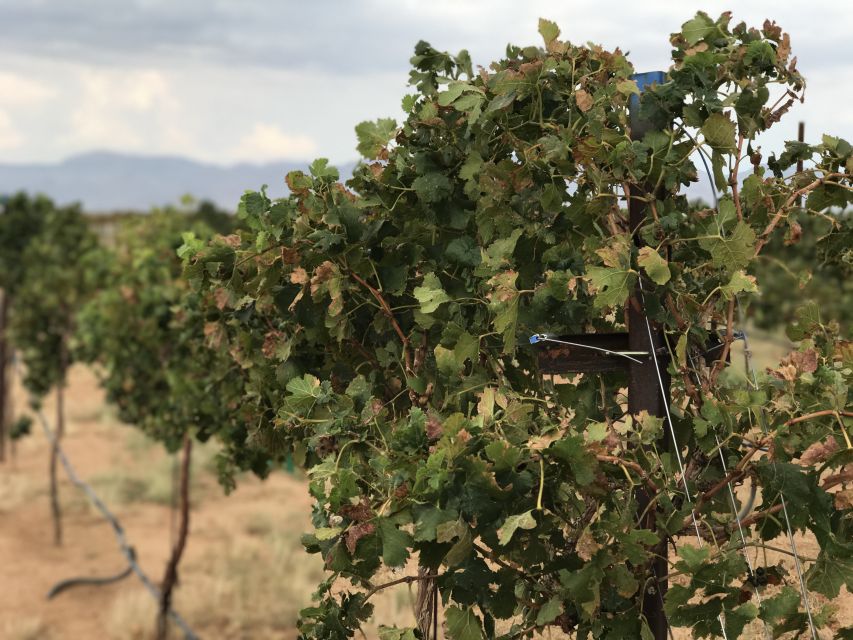 Scenic Desert Wine, Distillery Tastings/Brewery/RT66 & Lunch - What the $189 price really covers