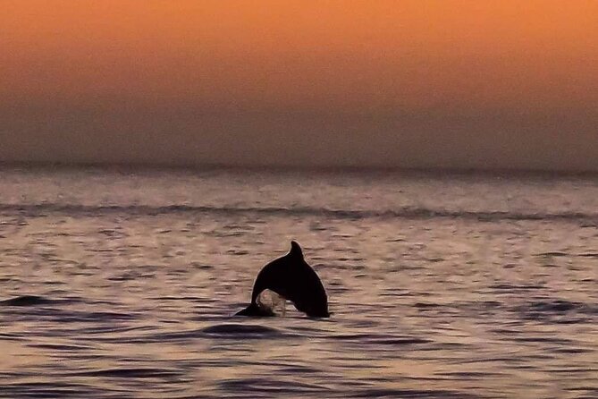 Scenic Sunset Cruise from Historic Johns Pass, Free Beer and Wine - Key points to know before you book