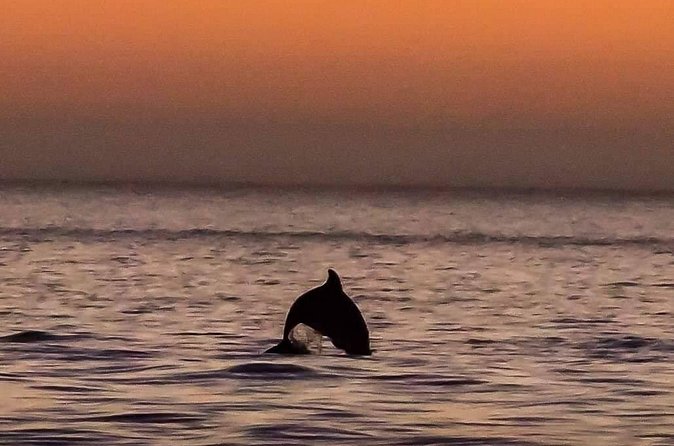Scenic Sunset Cruise from Historic Johns Pass, Free Beer and Wine - The crew, music, and overall mood