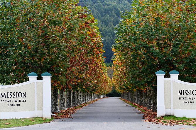 Small group - Napier Premium Wineries+ Beer tour -5.0 - 5.5 hours - A cheese board or platter breaks up the afternoon