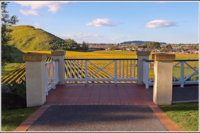 Small group - Napier Premium Winery , Beer & Cider + 5.5h to 6h. - Why this tour makes sense in Hawke’s Bay