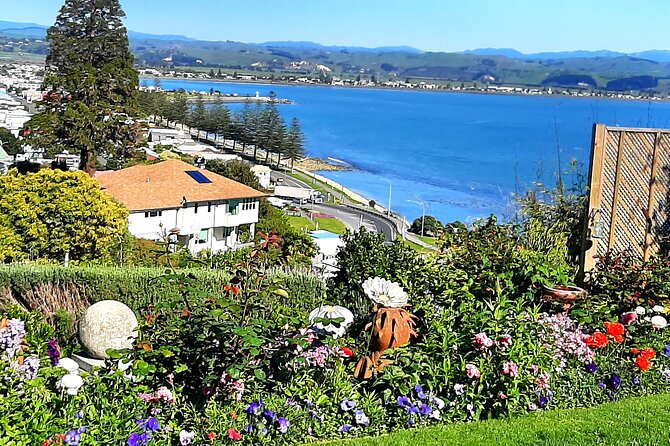 Small group - Napier Premium Winery , Beer & Cider + 5.5h to 6h. - Three full glasses of beer or cider