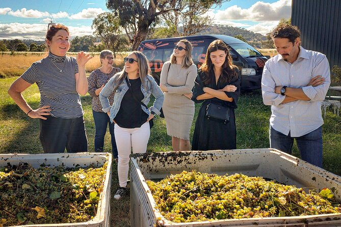 Sydney Grains and Grapes Hunter Valley Wine and Beer with Lunch - Key points to know before booking