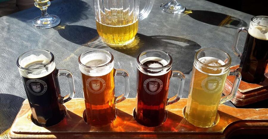 Szczecin Polish Beer and Food Tasting Private Tour - What the Szczecin beer tour is really about
