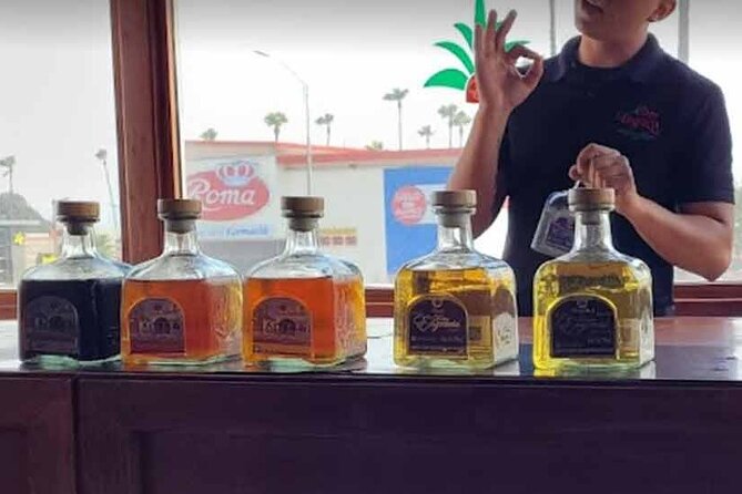 Tacos, Tequila, Cerveza - A Private Tour of Ensenada - Aguamala brewery and Baja craft beer