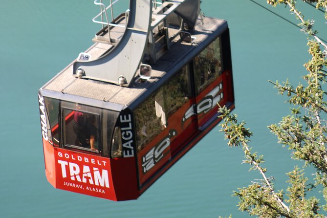Trails and Ale Tour and Tram Combo - Key points at a glance