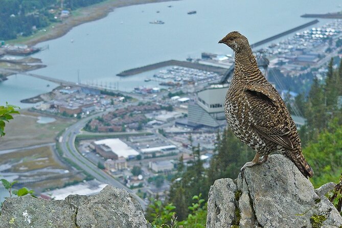 Trails and Ale Tour and Tram Combo - The walk: gentle outing or real hike?