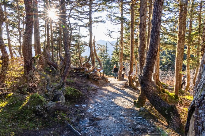 Trails and Ale Tour and Tram Combo - Is $125 a fair price?