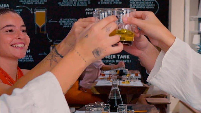 Tulum Beer School and create your own beer - Choosing Flavors, Aromas, and Distillates