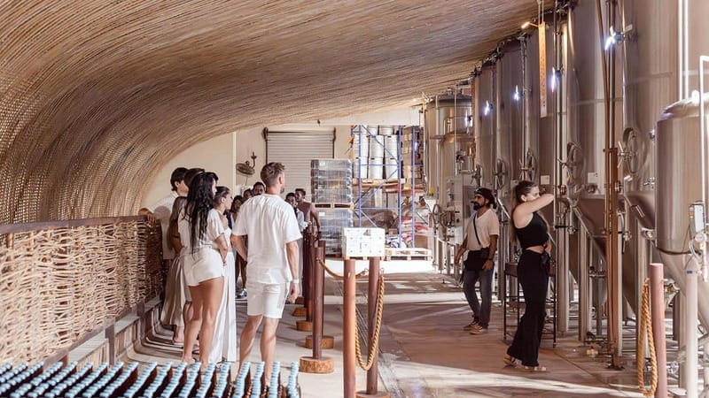 Tulum Brewery Tour & Beer Flight (Tasting Craft Beer) - What the Brewery Visit Is Designed to Show You