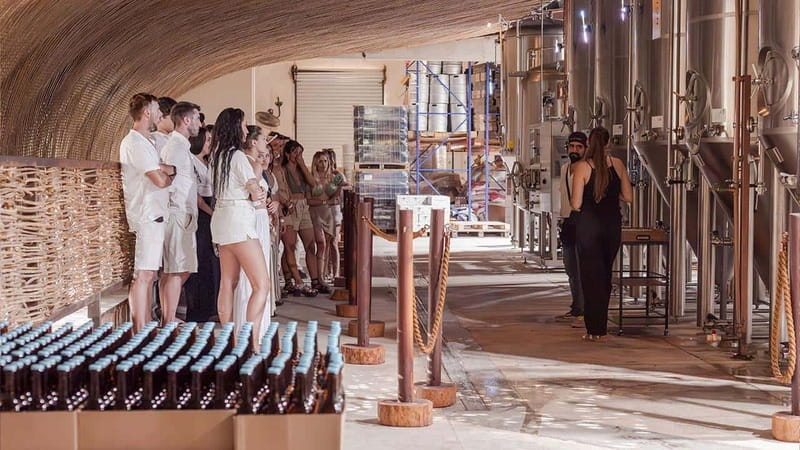 Tulum Brewery Tour & Beer Flight (Tasting Craft Beer) - My Take: Book It for the Brewing Story