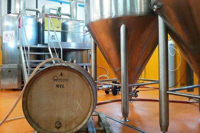 Tuscan Brewery Guided Tour with beer and food tasting - Learning what malt and hops do