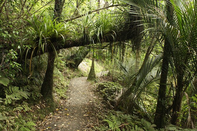 Ultimate Auckland Experience Full Day Tour with Brewery Lunch - Hauraki Gulf views from Achilles Point