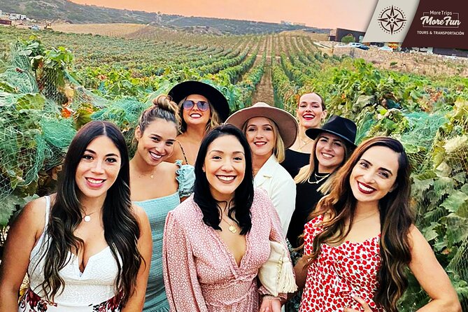 Valle de Guadalupe winery and brewery tours - Wine, breweries, food, and the valley scenery