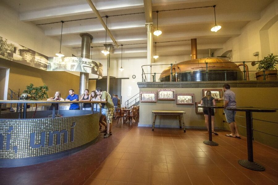 Velke Popovice: Kozel Brewery Tour with Beer Tasting - Who should book this brewery visit