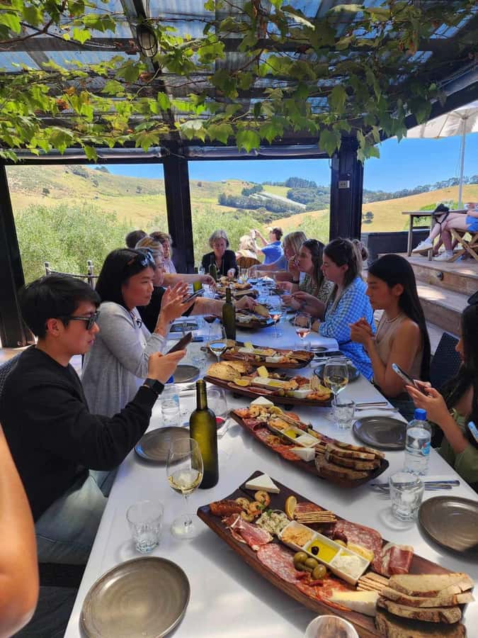 Waiheke: Scenic Taste and Graze Tour with Wine, Whisky, Beer - What the five-hour schedule feels like