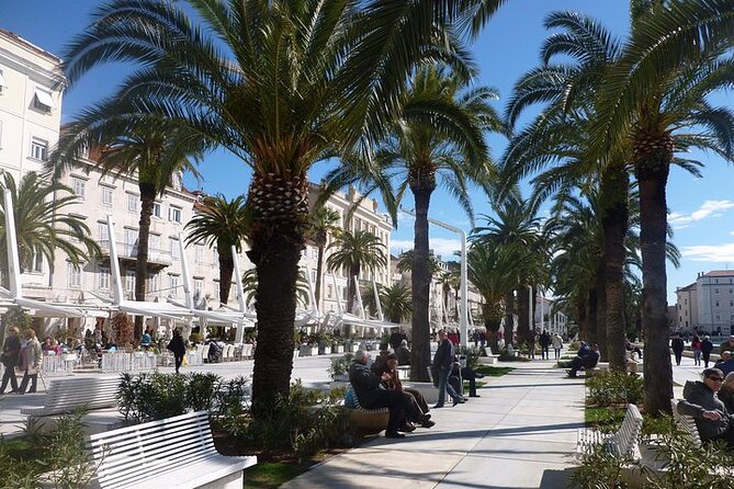 Walking tour of Split old town and craft beer tasting - From mausoleum to cathedral