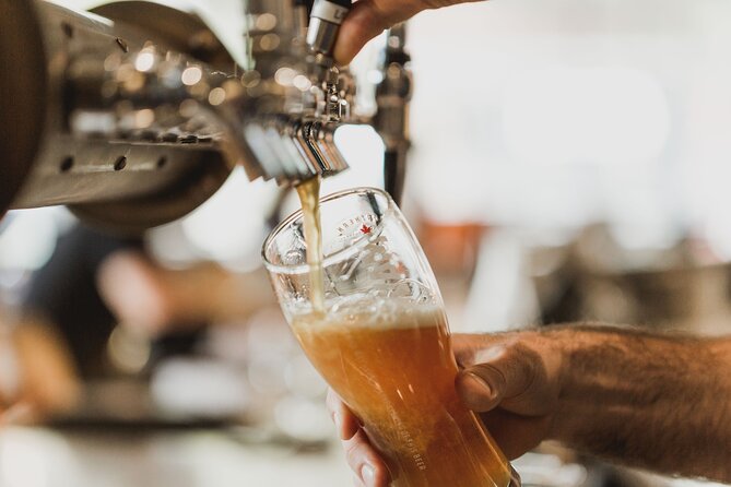 Wanaka Breweries E-Bike Tour - Craft beer stops and food pairing plans