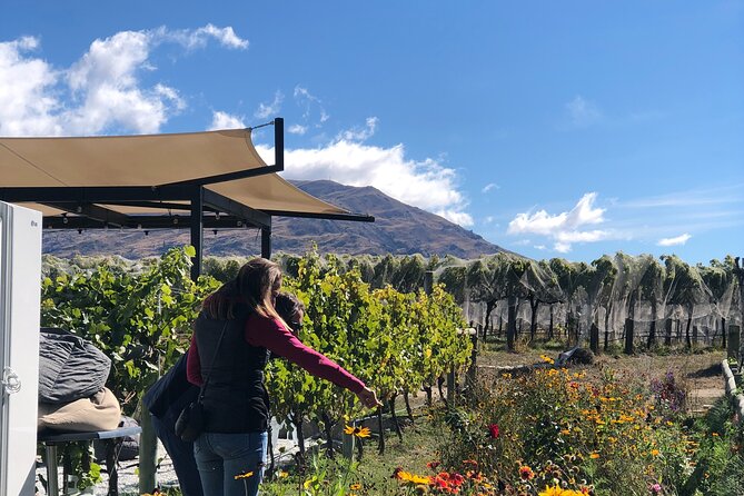 Wanaka Breweries E-Bike Tour - Timing, weather, and cancellation details
