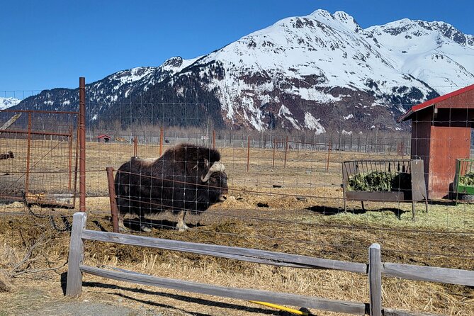 Wildlife Center with Lunch and Local Beer Sampling - Lunch and tastings at Girdwood Brewing Company