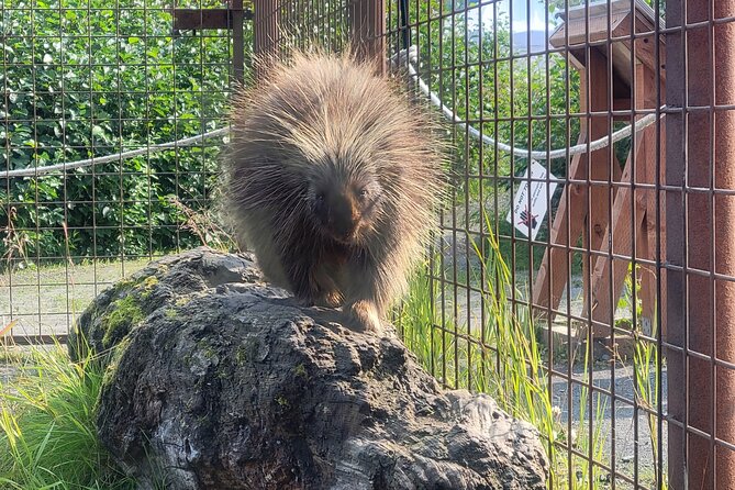 Wildlife Center with Lunch and Local Beer Sampling - Cost, timing, and overall value