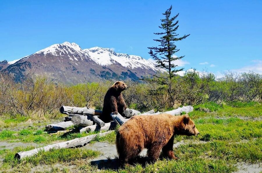 Wildlife Center with Lunch & Local Beer Sampling - Booking advice and final verdict