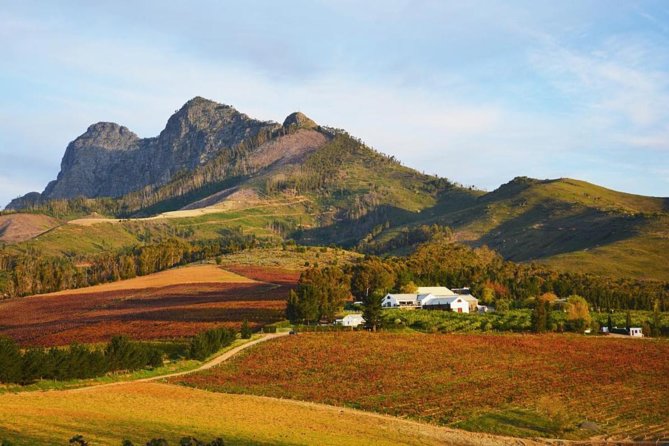 Wine Beer and Biltong Safari - Stellenbosch - Craft beer before or between the wine farms