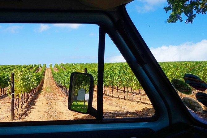Wine Beer and Biltong Safari - Stellenbosch - A small group with a guide at the center
