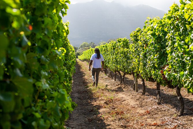 Wine Beer and Biltong Safari - Stellenbosch - Meeting in Cape Town and managing the day