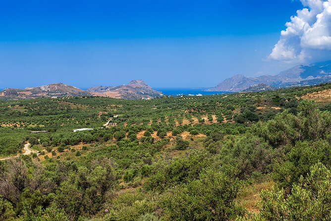 Wine, Beer, Olive Oil Tasting Private Tour (price per group of 6) - What the $520.57 group price really covers