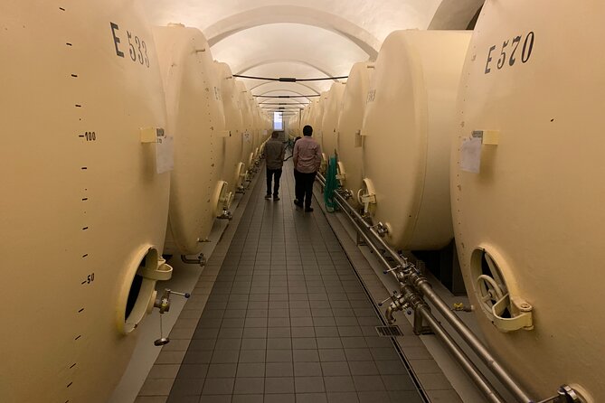 WINE, FOOD & BEER TOUR from Prague to PILSEN - What the guide adds to the day