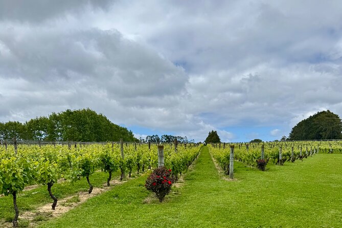 Wineries / Brewery - Who will get the most from this experience