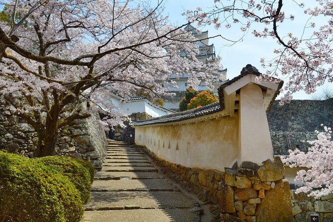 World Heritage Himeji Castle & Sake Breweries Private Tour - Nadagiku Shuzo Brewery for 75 Minutes